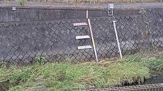 根岸橋映像監視局