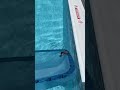 Rescuing A Bat From A Swimming Pool