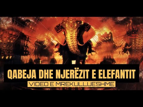 Qabeja dhe njerëzit e Elefantit | VIDEO E MREKULLUESHME