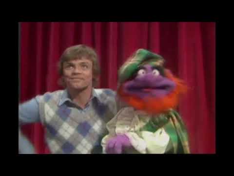 Muppet Songs: Angus McGonagle - Summertime