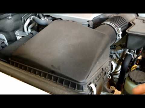 Found four dead baby mouses in air intake box