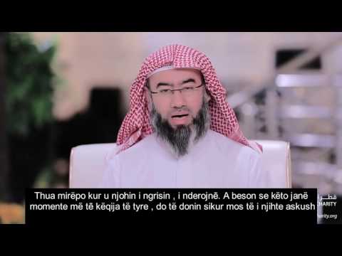 Nebil el Avadi- Modestia