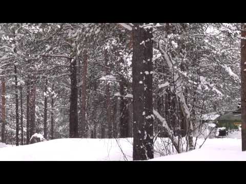 Panserbataljonen introduksjon