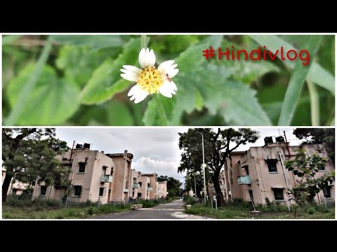 Saturdaywala Vlog | Quick View of RFCL Township | Tasty Veg Chow & Mitha Chilla