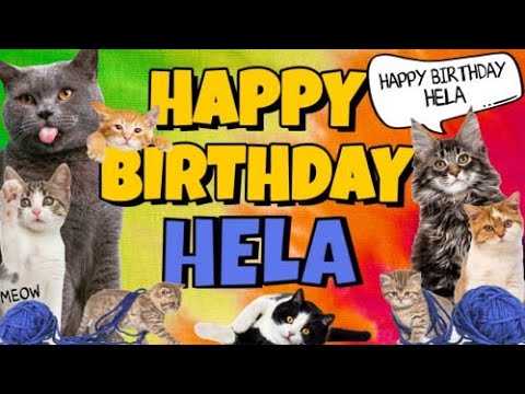 Happy Birthday Hela! Crazy Cats Say Happy Birthday Hela (Very Funny)