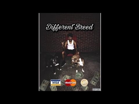 BabyTron-Hit The Road