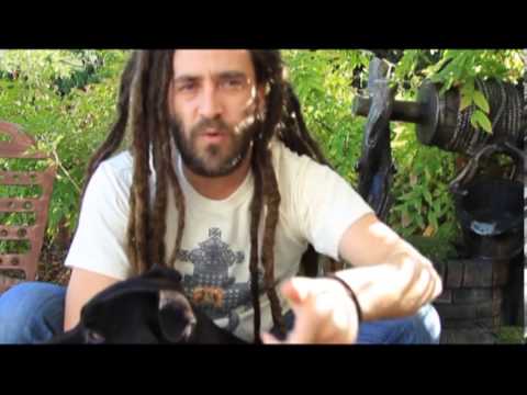 ROE DELGADO LA CASA DEL REGGAE