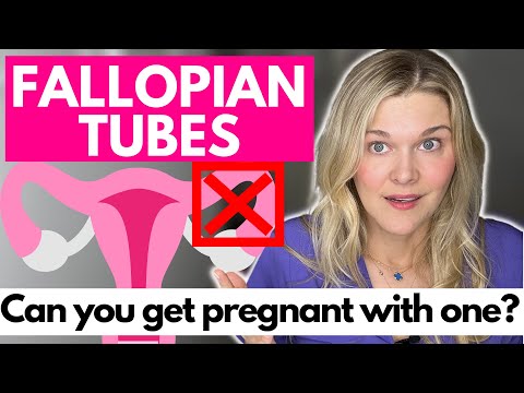 Can You Get Pregnant with One Fallopian Tube? What Can Cause A Blocked Tube?