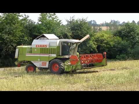 Rzepak 2017 Filip Lenart  Pozdrawia