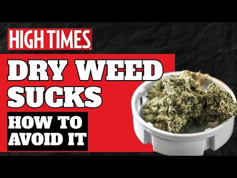 THE FASTEST WAY TO RUIN WEED (AND HOW TO AVOID IT)