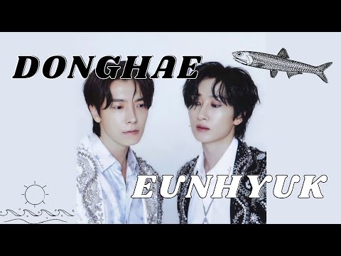 EUNHYUK & DONGHAE ARE MORE THAN JUST FRIENDS ?? [SUPER JUNIOR]