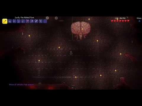 Terraria -Brain of cthulhu Boss fight
