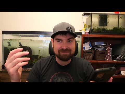 135 DAY OLD AUTOFLOWER?!?! - AUTO Q&A