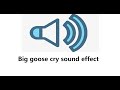 Big Goose Cry Sound Effect