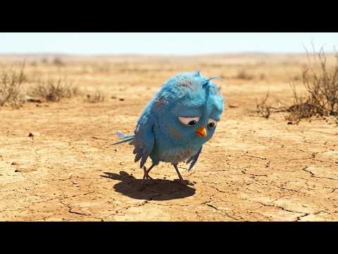 Miracle in the Desert: The Heroic Rescue of a Tiny Bird.