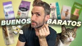 6 ALIMENTOS SECOS BUENOS y BARATOS 💸para tu GATO 🐈