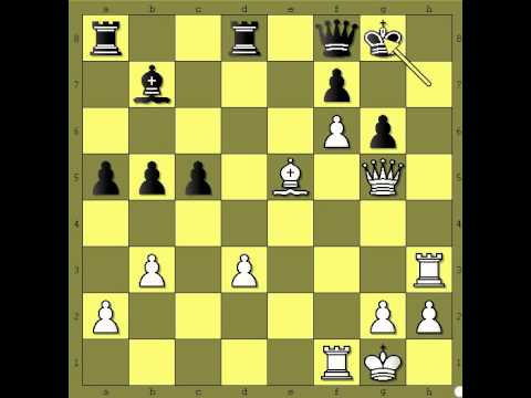 Pozicija 19  - NEGRO vs MANUELLI  - Sicilijanka  # 380