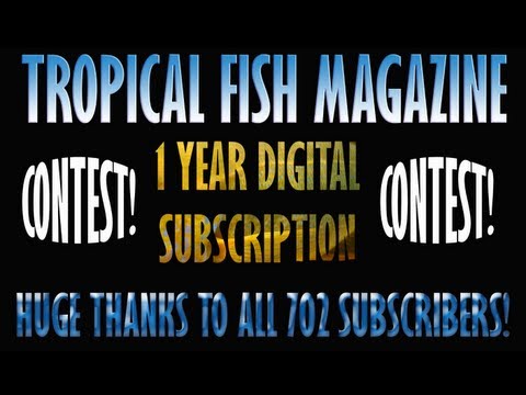 Tropical Fish Magazine Digital Subscription Contest!