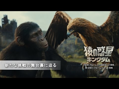 新たな挑戦の舞台裏に迫る（字幕版）