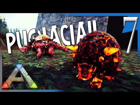 CONFLAGRANT DOED AND ANKYLO! | ARK  Survival Evolved Pooping (Pugnacia & Modded) E7