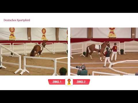 Lot 76 v. Sir Heinrich / Don Juan de Hus & Lot 86 v. Vitalis / Millennium/T.