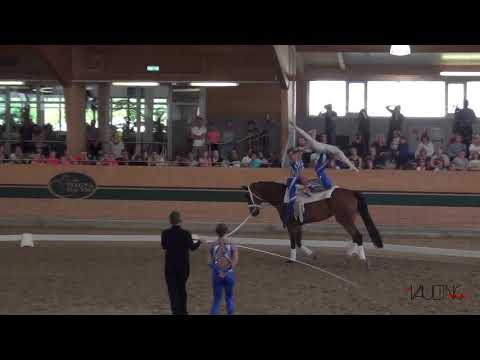 VG Pill (AUT), CVIO Ebreichsdorf 2019