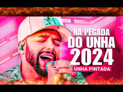 UNHA PINTADA 2024 JANEIRO - REPERTÓRIO NOVO - MÚSICAS NOVAS - CD NOVO - ATUALIZADO UNHA PINTADA
