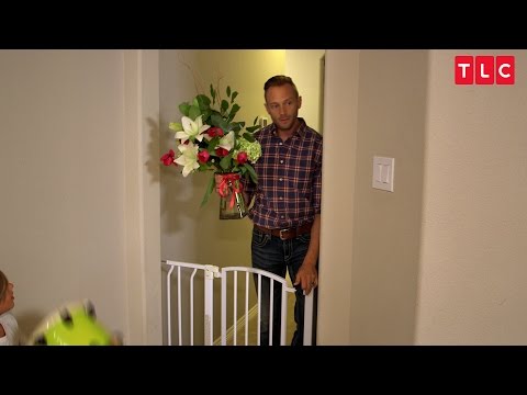 download lagu mp3 mp4 Daniel Adam Day Valentine, download mp3 Daniel Adam Day Valentine free downloadn, video klip Daniel Adam Day Valentine