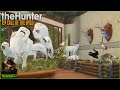The Ultimate 6700 Hour Trophy Lodge Tour April 2024 Super Rares More Call Of The Wild