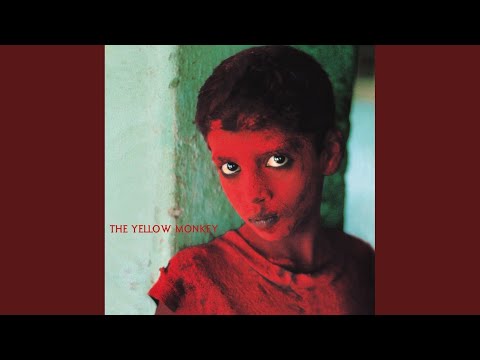 IUCN分類における絶滅の危険性を示す図。