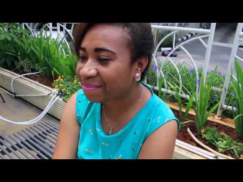 Oyandi Voice (Sio Kekaaihku)