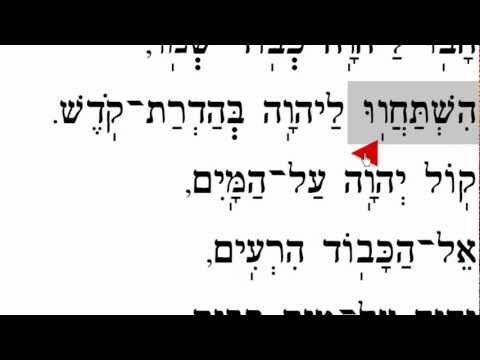 Mizmor L'David Havu LAdonai  מִזְמוֹר לְדָוִד הָבוּ לַיהוָה בְּנֵי אֵלִים
