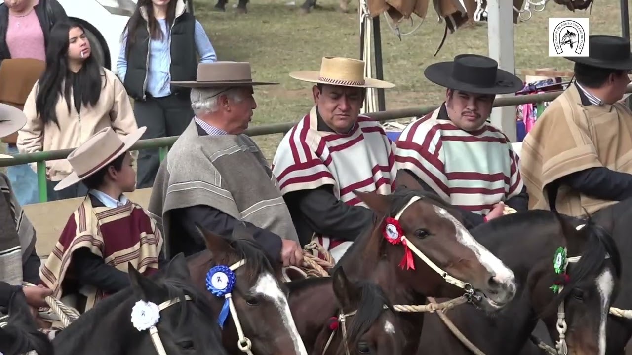 Segunda Serie Libre rodeo Asociación Talca 12-13 de octubre 2024