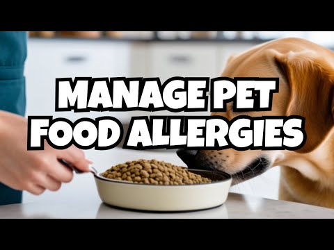 How To Feed A Dog With Food Sensitivities and Allergies