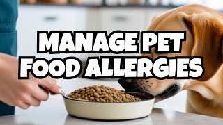 How To Feed A Dog With Food Sensitivities and Allergies