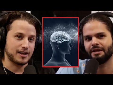 LATTICE'S THEORY, REALITY AND CONSCIOUSNESS