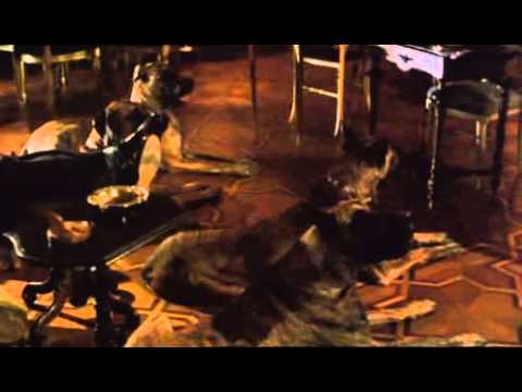 Jackie Chan - Armor Of God 1 Part 3 by (killeruploder25)