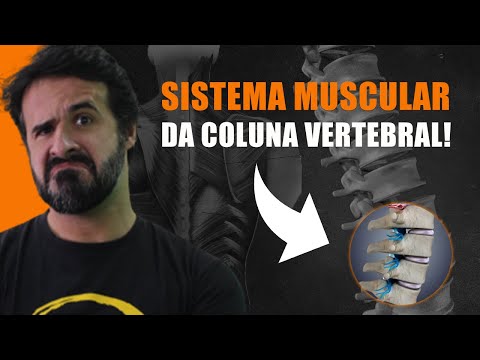 DISCOVER EVERYTHING ABOUT THE SPINE MUSCULATURE!