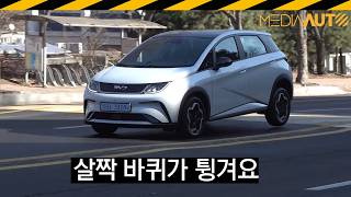 BYD 돌핀 시승기 // 2450만원, 95마력, 중국, 전기차, 토션빔