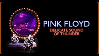 PINK FLOYD - DELICATE SOUND OF THUNDER