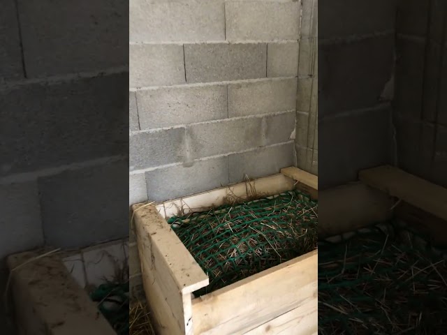 Ecurie d’Hauterives 