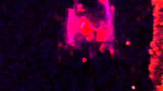 Senso Night Club(Richard Durand, Ryan Moody, Danny, Day)