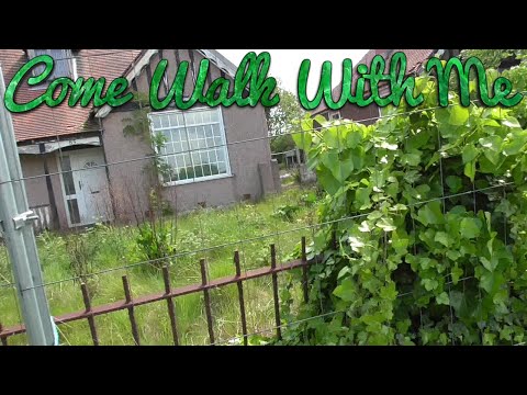 Wepre Lane Walk | Connah's Quay Walks