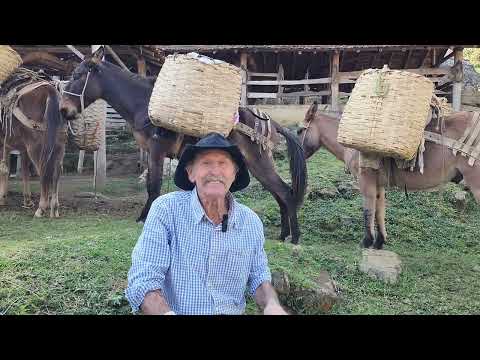 Antigamente Tinha Assombração Manoel Tropeiro Parte 2