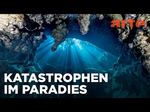 Abenteuer Karibik | ARTE Fernweh