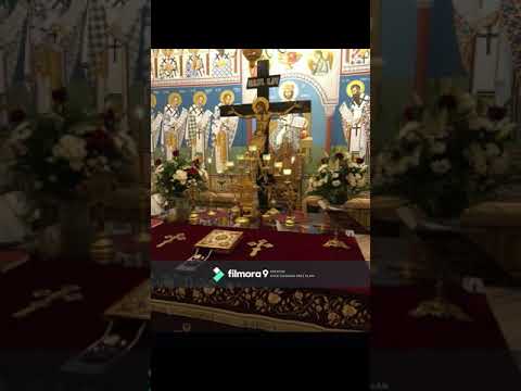 🙏Noaptea e stăpână-n vale - Daniel Bărboșelu