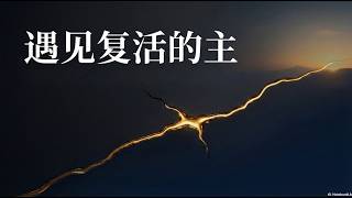 遇见复活的主 讲道封面