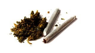 Is Marijuana Addictive? | Marijuana