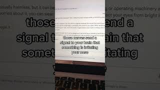 Comparing Google Bard’s answers with GPT4 in Bing.