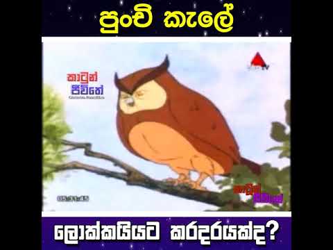 punci kale cartoon Watch HD Mp4 Videos Download Free